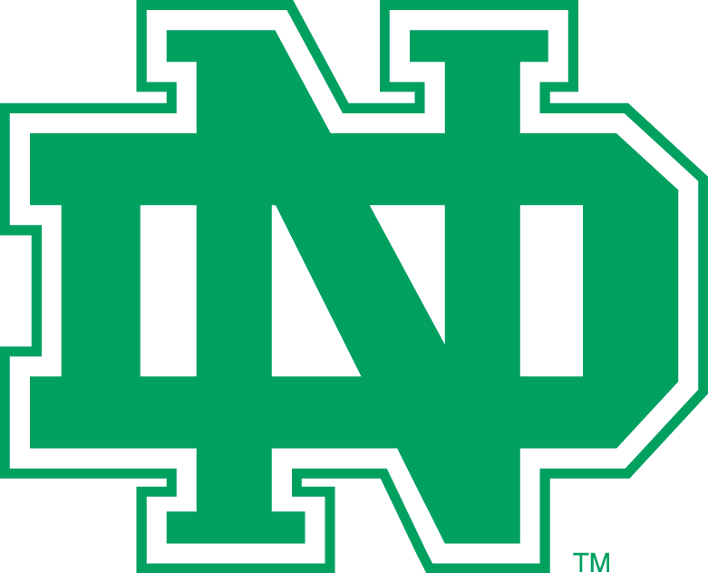 North Dakota Fighting Sioux 1974-2001 Alternate Logo diy DTF decal sticker